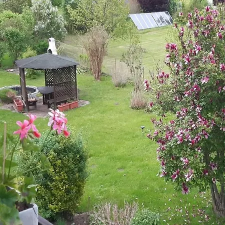 Nusswald *