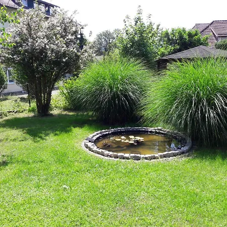 Apartment Nusswald *
